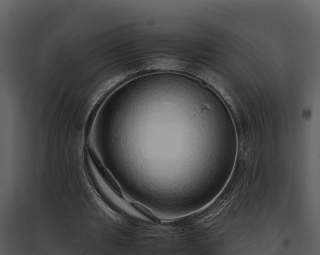 X0000095690437200801151152