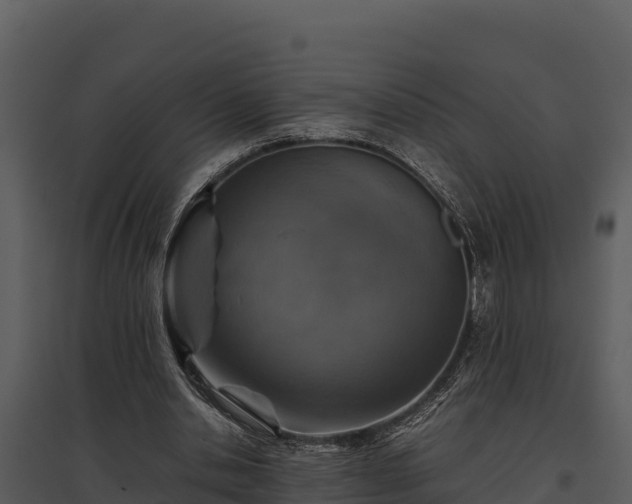 X0000095690438200801151152