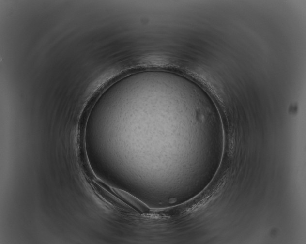 X0000095690439200801151152