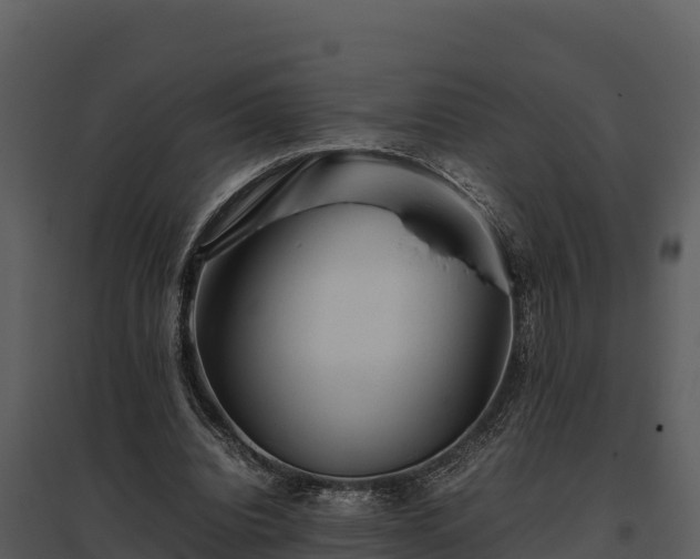 X0000095690440200801151152