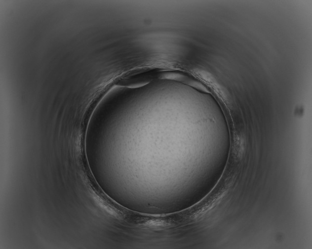 X0000095690441200801151152