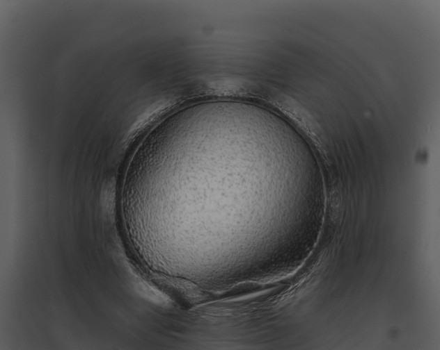 X0000095690442200801151152