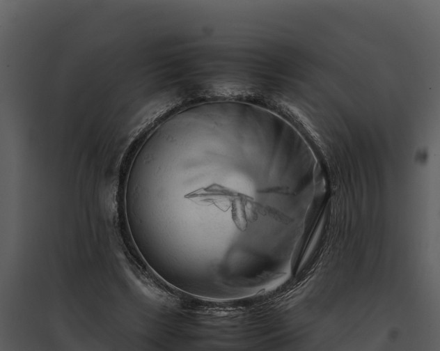 X0000095690443200801151152