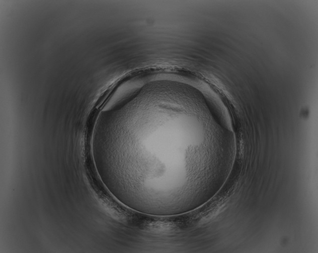 X0000095690444200801151152