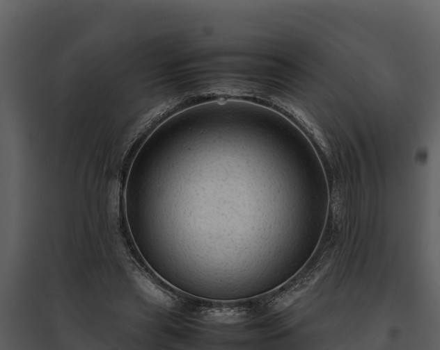 X0000095690445200801151152