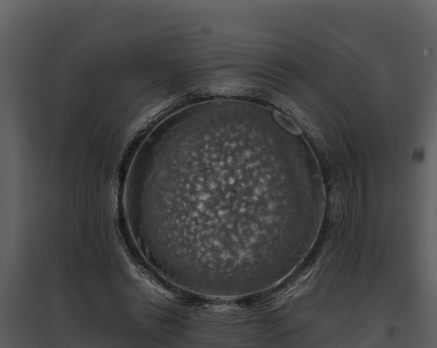 X0000095690446200801151152