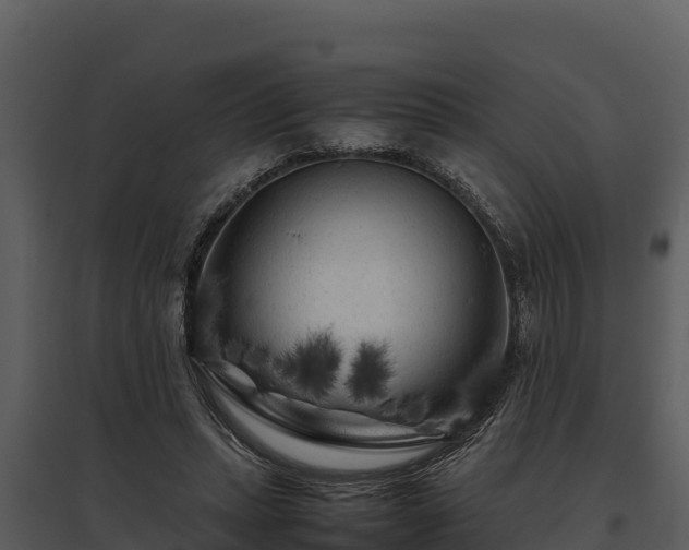 X0000095690447200801151152