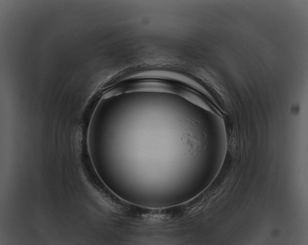 X0000095690448200801151152