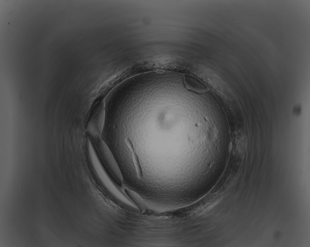 X0000095690450200801151152