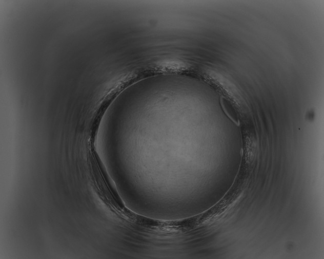 X0000095690451200801151152