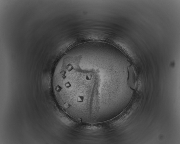 X0000095690453200801151152