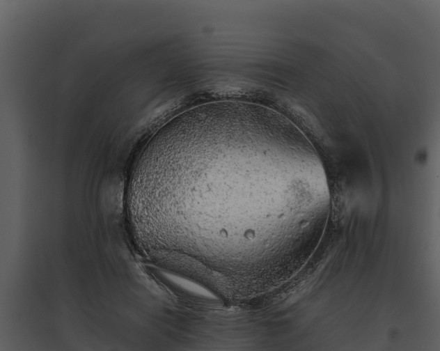 X0000095690454200801151152