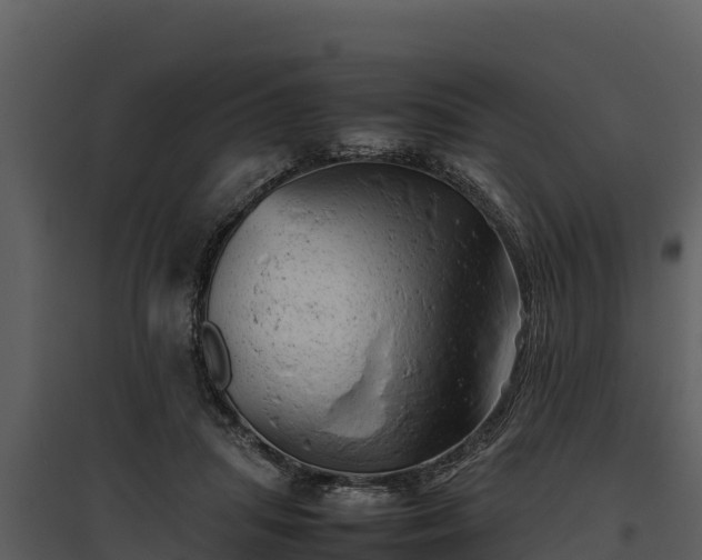 X0000095690455200801151152