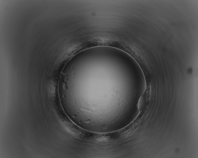 X0000095690456200801151152