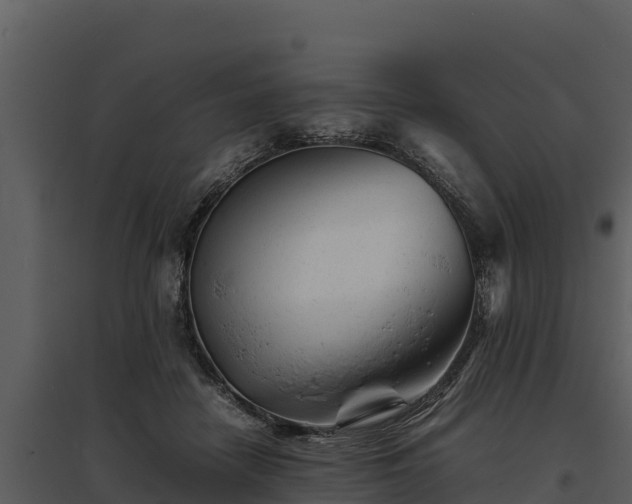 X0000095690458200801151152