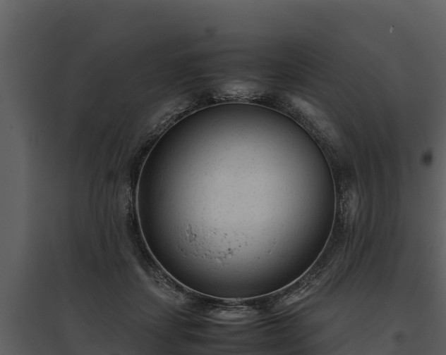 X0000095690459200801151152