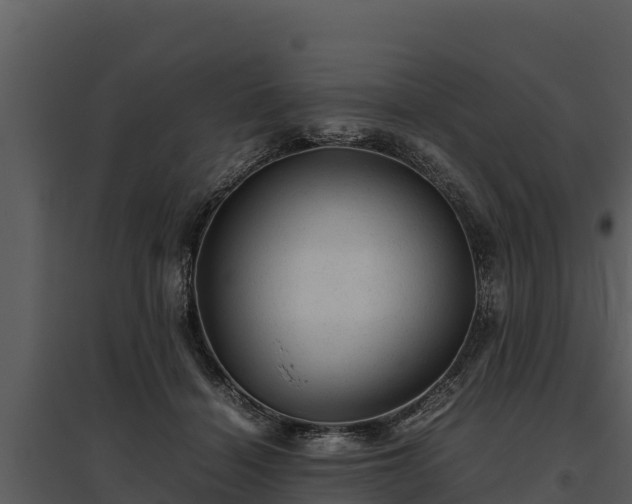 X0000095690460200801151152