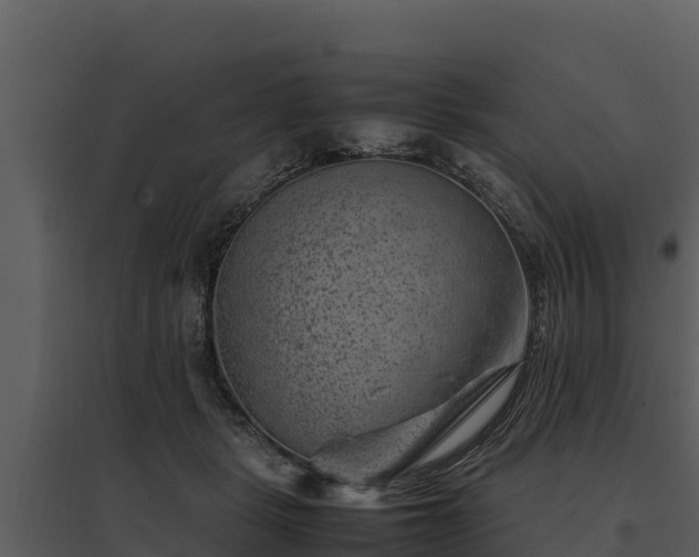 X0000095690461200801151152