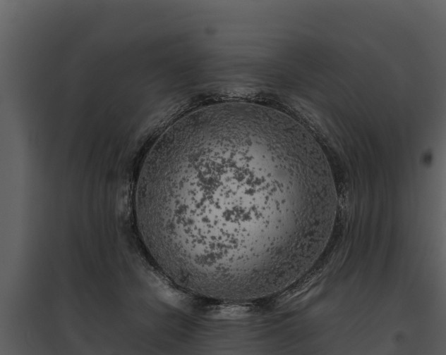 X0000095690462200801151152