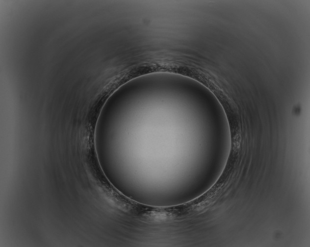 X0000095690464200801151152