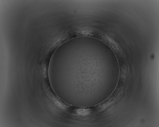 X0000095690465200801151152