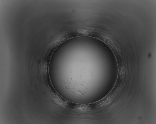 X0000095690466200801151152