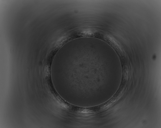 X0000095690467200801151152