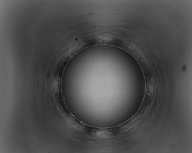 X0000095690468200801151152