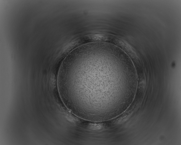 X0000095690469200801151152