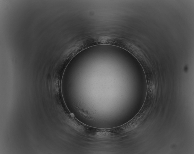 X0000095690470200801151152