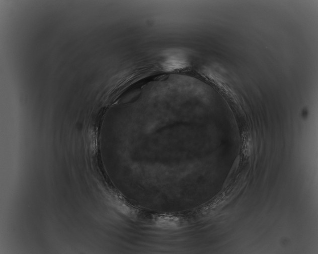 X0000095690471200801151152