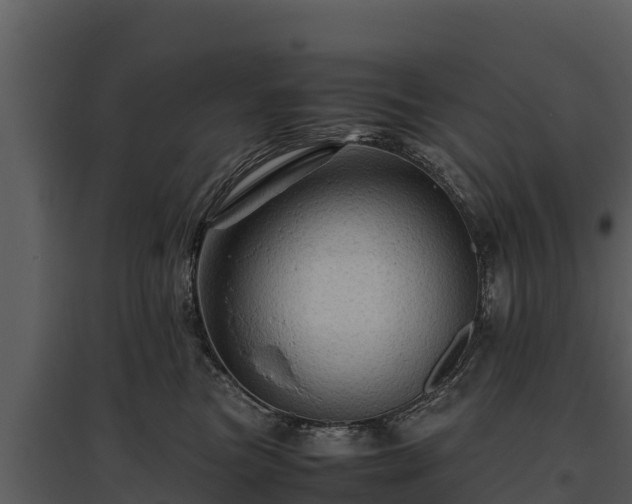 X0000095690473200801151152