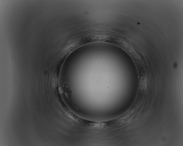 X0000095690474200801151152