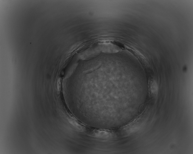 X0000095690475200801151153