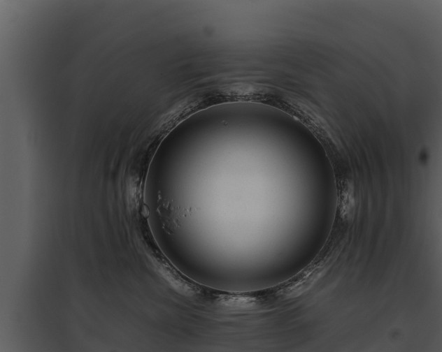 X0000095690476200801151153