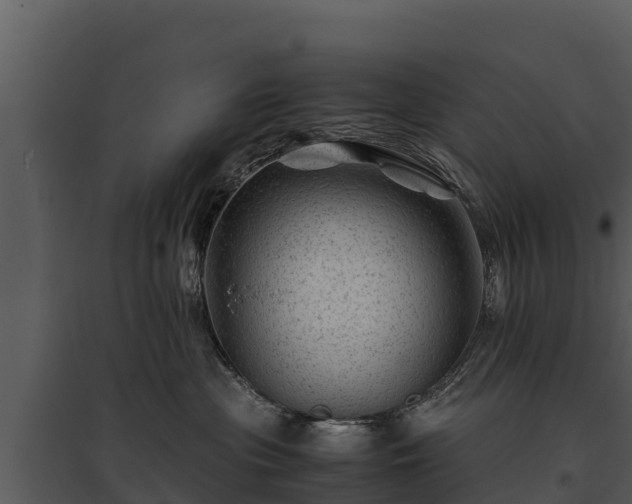 X0000095690477200801151153