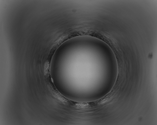 X0000095690480200801151153