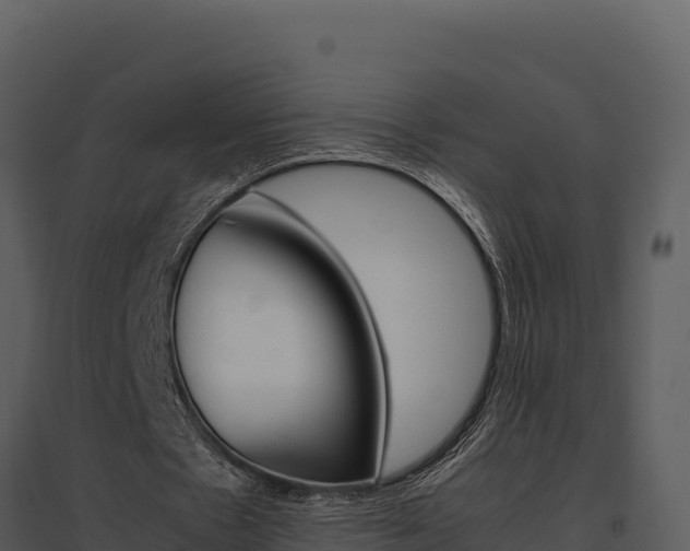 X0000095690481200801151152