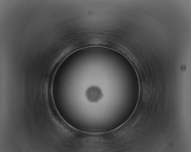 X0000095690482200801151152