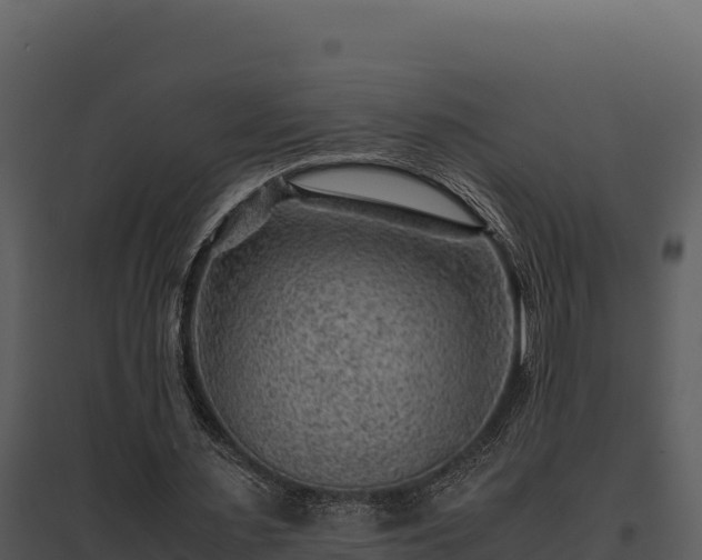 X0000095690483200801151152