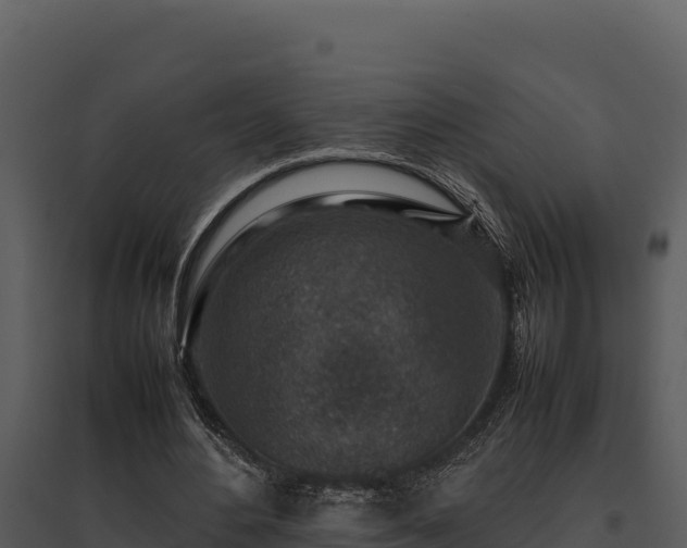 X0000095690484200801151152