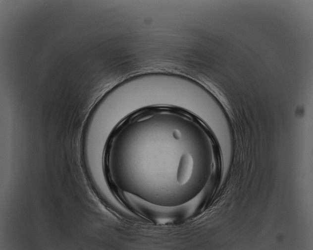 X0000095690485200801151152