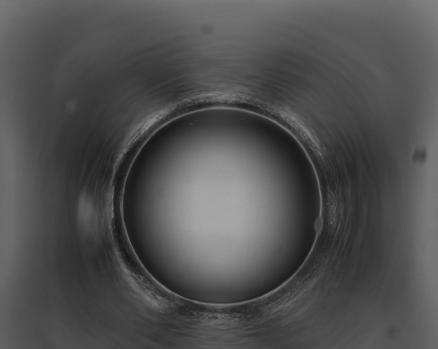 X0000095690486200801151152