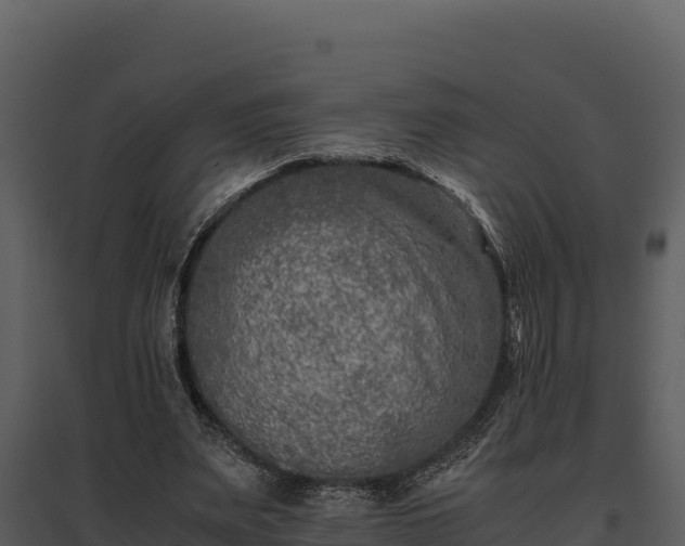 X0000095690487200801151152