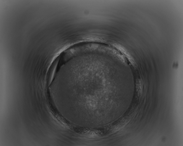 X0000095690488200801151152