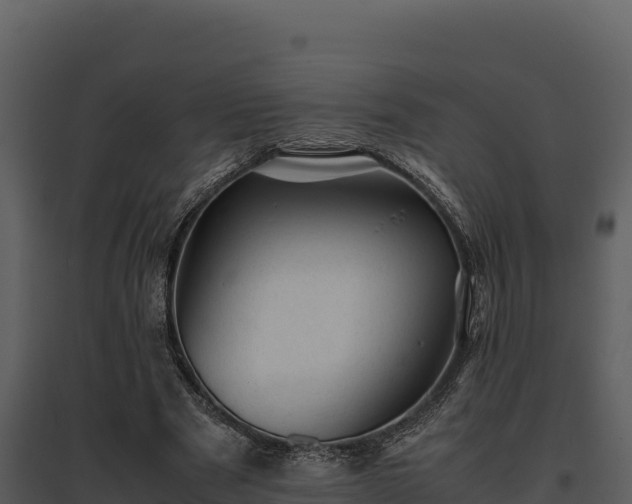 X0000095690489200801151152