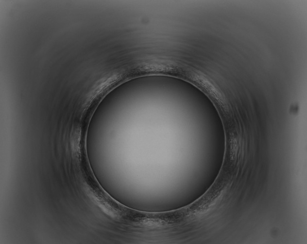 X0000095690490200801151152