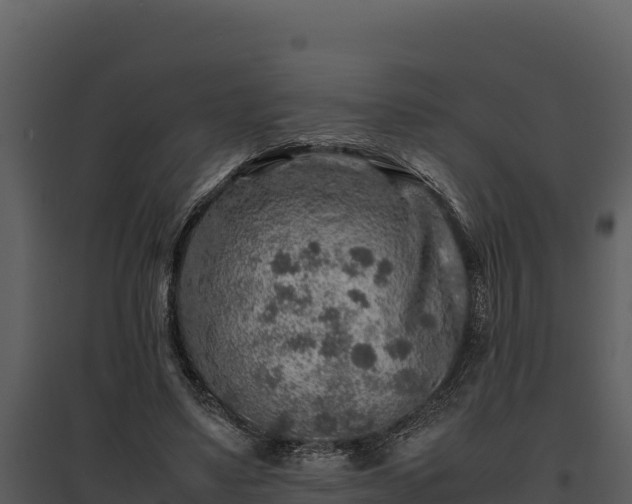 X0000095690491200801151152