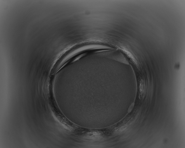 X0000095690492200801151152