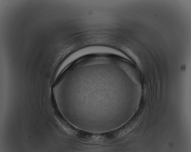 X0000095690493200801151152